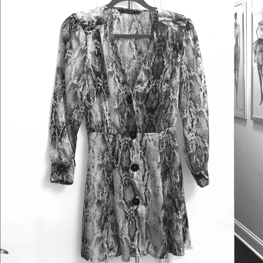 Zara snakeskin dress